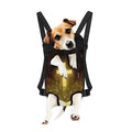Christian Holy Bible Print Pet Carrier Backpack