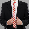 Christmas Candy Cane Stripe Print Necktie