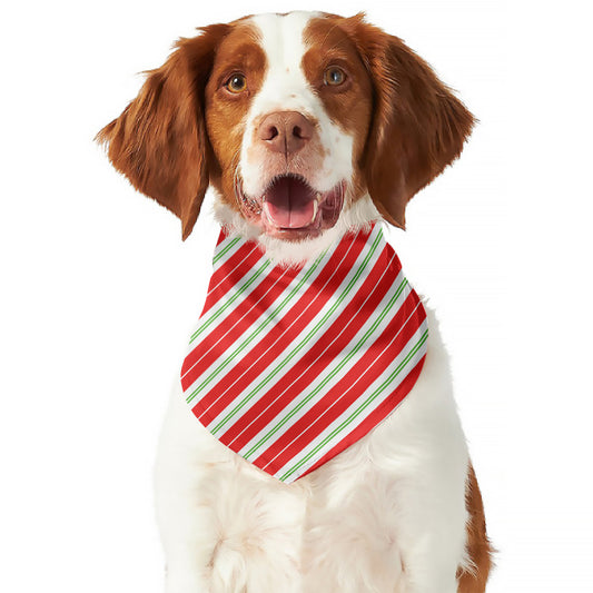 Christmas Candy Cane Stripes Print Dog Bandana