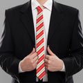 Christmas Candy Cane Stripes Print Necktie