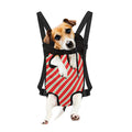 Christmas Candy Cane Stripes Print Pet Carrier Backpack