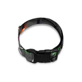 Christmas Holiday Lights Print Dog Collar