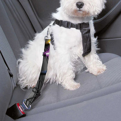 Christmas Holiday Lights Print Dog Seat Belt
