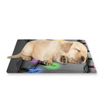 Christmas Holiday Lights Print Pet Cooling Mat Cover