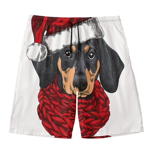 Christmas Santa Dachshund Print Men's Swim Trunks