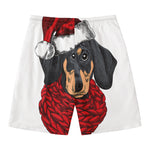 Christmas Santa Dachshund Print Men's Swim Trunks