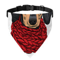 Christmas Santa Dachshund Print Over The Collar Dog Bandana