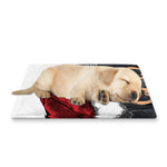 Christmas Santa Dachshund Print Pet Cooling Mat Cover