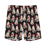 Christmas Santa Pug Pattern Print Men's Sports Shorts