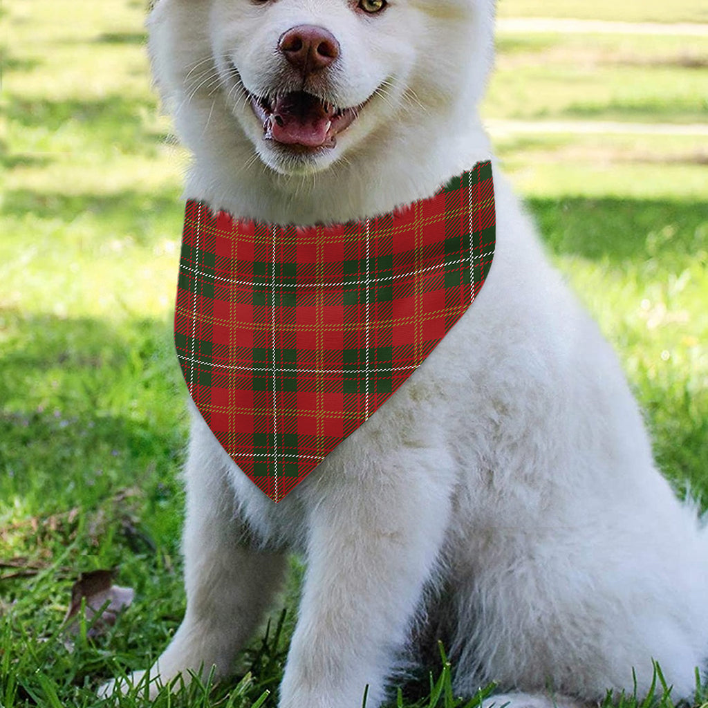Christmas Scottish Tartan Pattern Print Over The Collar Dog Bandana