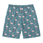 Christmas Snowy Flamingo Pattern Print Men's Swim Trunks