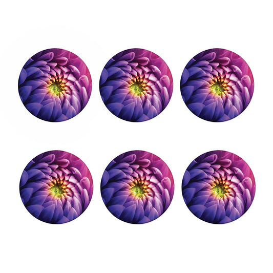 Chrysanthemum Flower Print Coaster Set