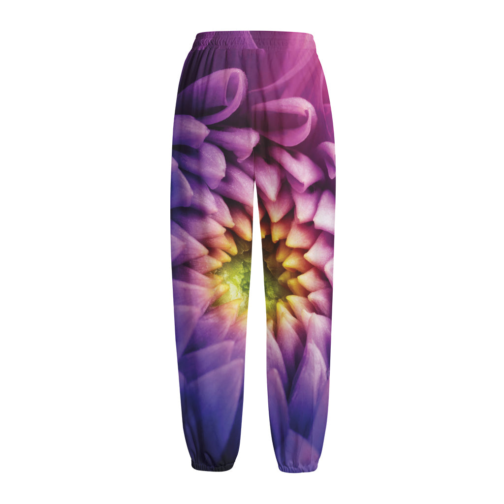 Chrysanthemum Flower Print Fleece Lined Knit Pants