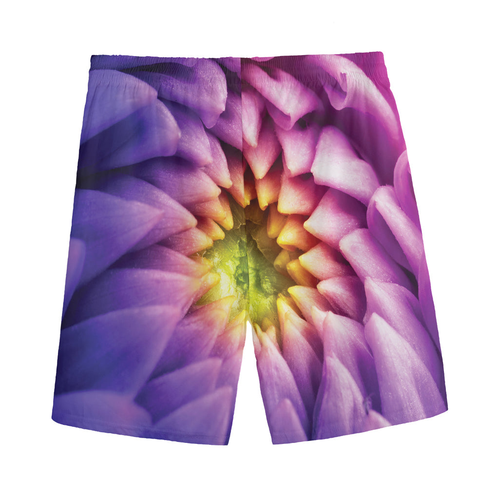 Chrysanthemum Flower Print Men's Sports Shorts