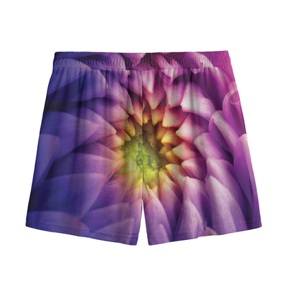 Chrysanthemum Flower Print Mesh Shorts