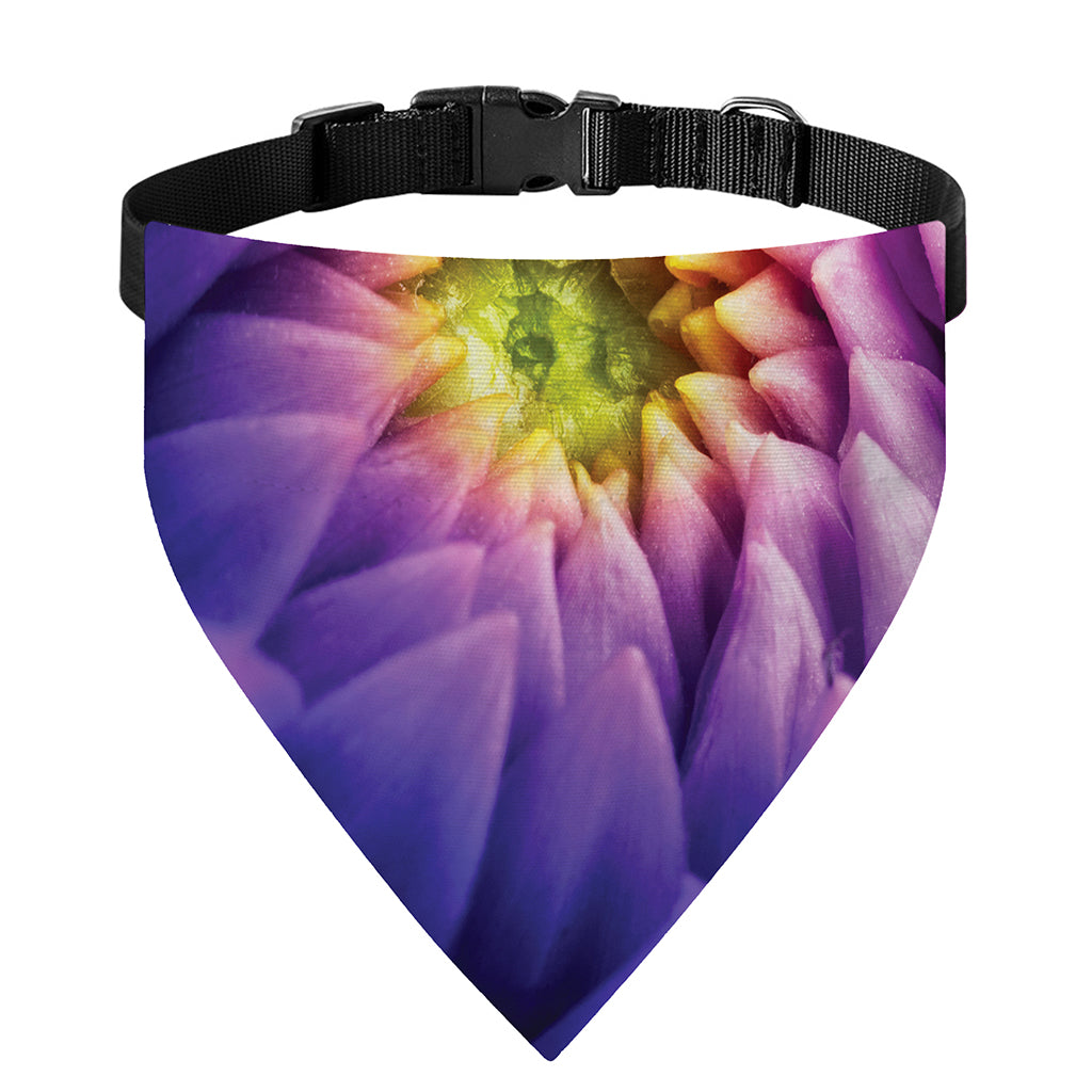 Chrysanthemum Flower Print Over The Collar Dog Bandana