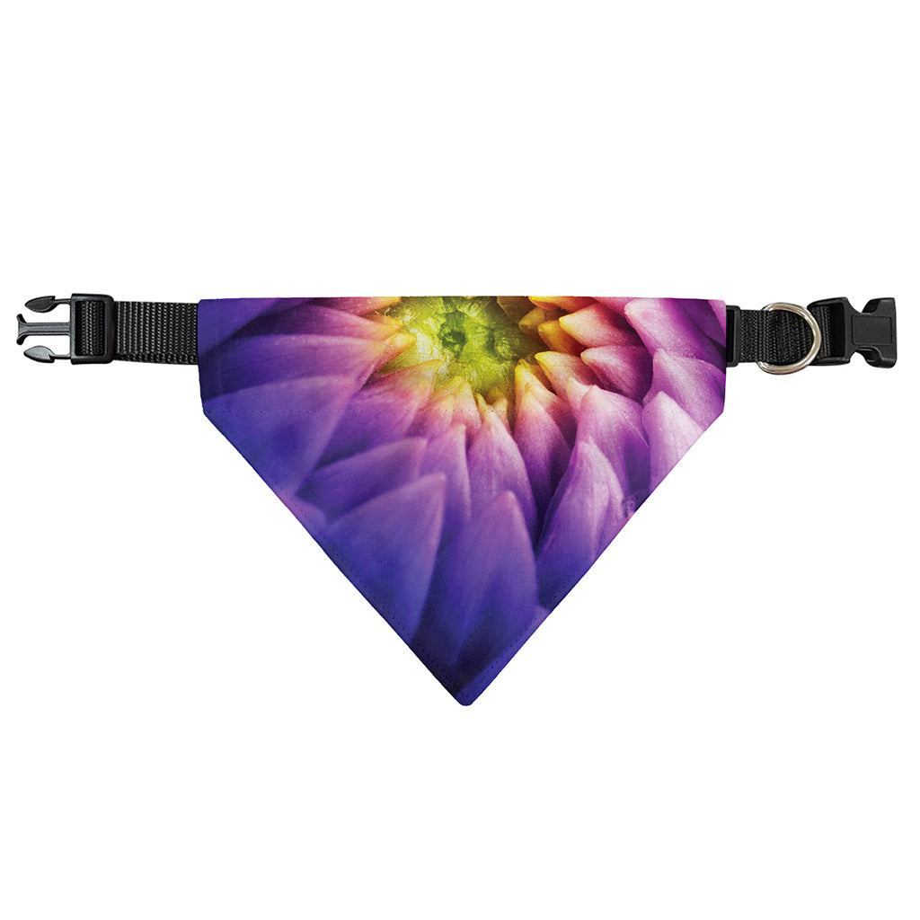 Chrysanthemum Flower Print Over The Collar Dog Bandana