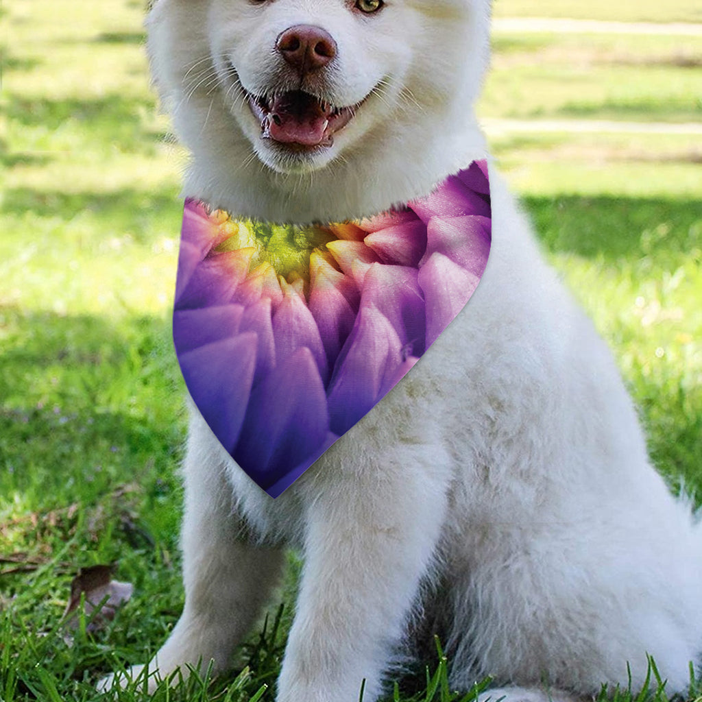 Chrysanthemum Flower Print Over The Collar Dog Bandana