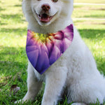 Chrysanthemum Flower Print Over The Collar Dog Bandana
