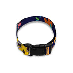 Cinco de Mayo Day Of The Dead Print Dog Collar