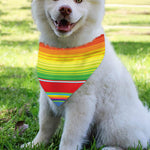 Cinco De Mayo Mexican Pattern Print Over The Collar Dog Bandana