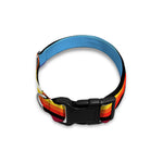 Cinco De Mayo Mexican Stripe Print Dog Collar