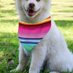 Cinco De Mayo Mexican Stripe Print Over The Collar Dog Bandana
