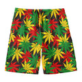 Classic Hemp Leaves Reggae Pattern Print Men's Swim Trunks