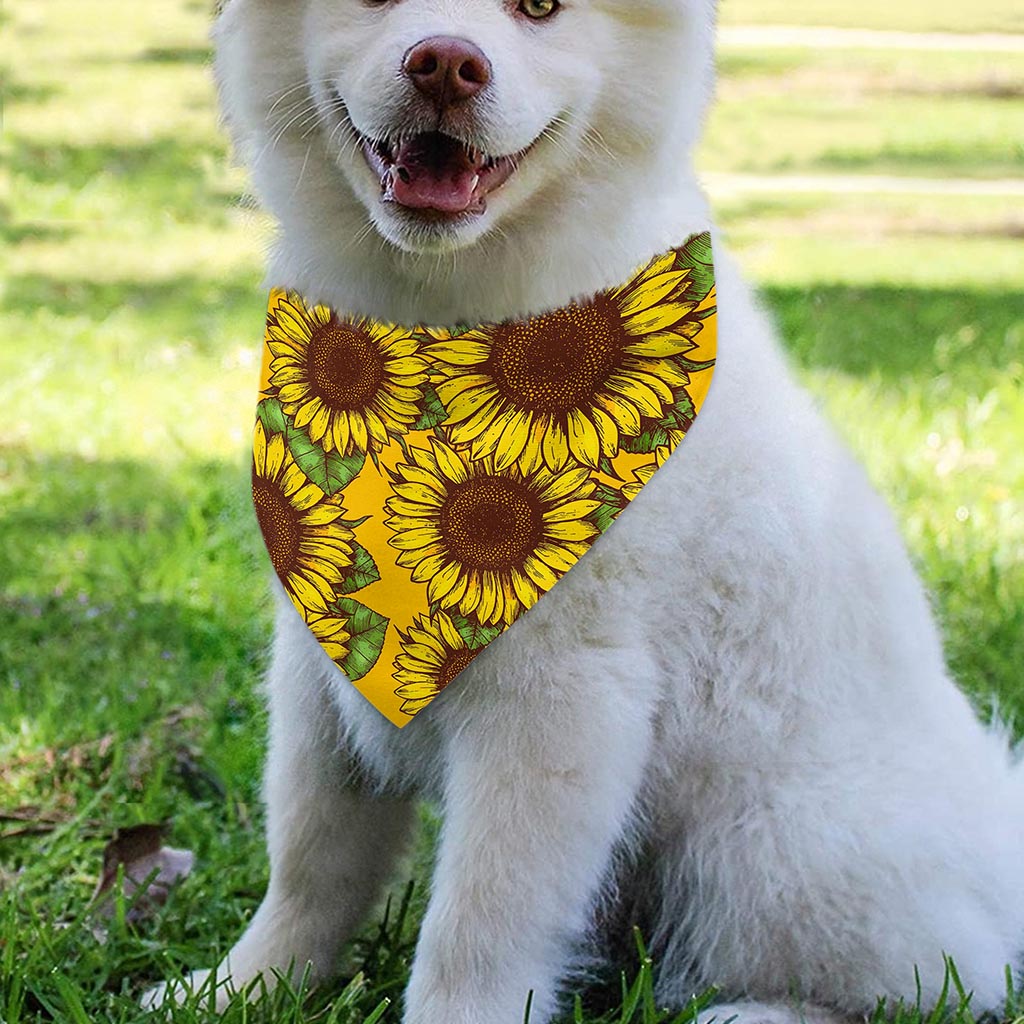 Classic Vintage Sunflower Pattern Print Over The Collar Dog Bandana