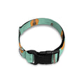Classical Guitar Pattern Print Dog Collar