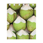 Coconut 3D Print Curtain