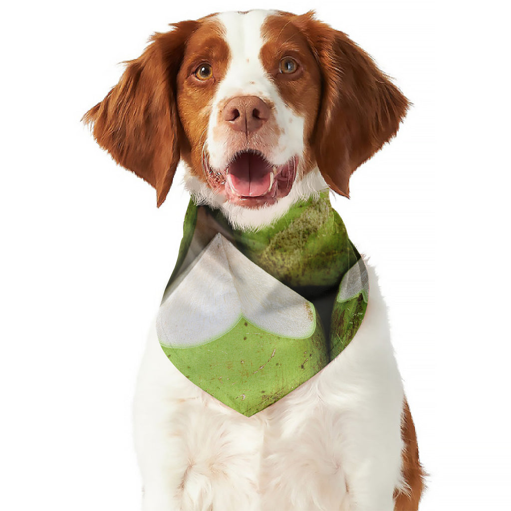 Coconut 3D Print Dog Bandana