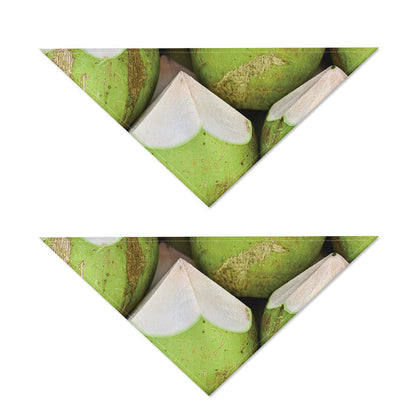 Coconut 3D Print Dog Bandana