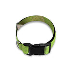 Coconut 3D Print Dog Collar