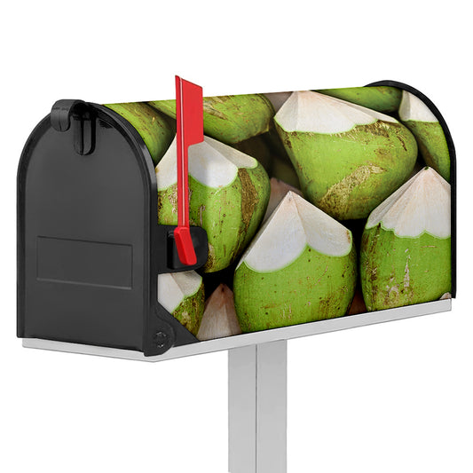 Coconut 3D Print Mailbox Cover