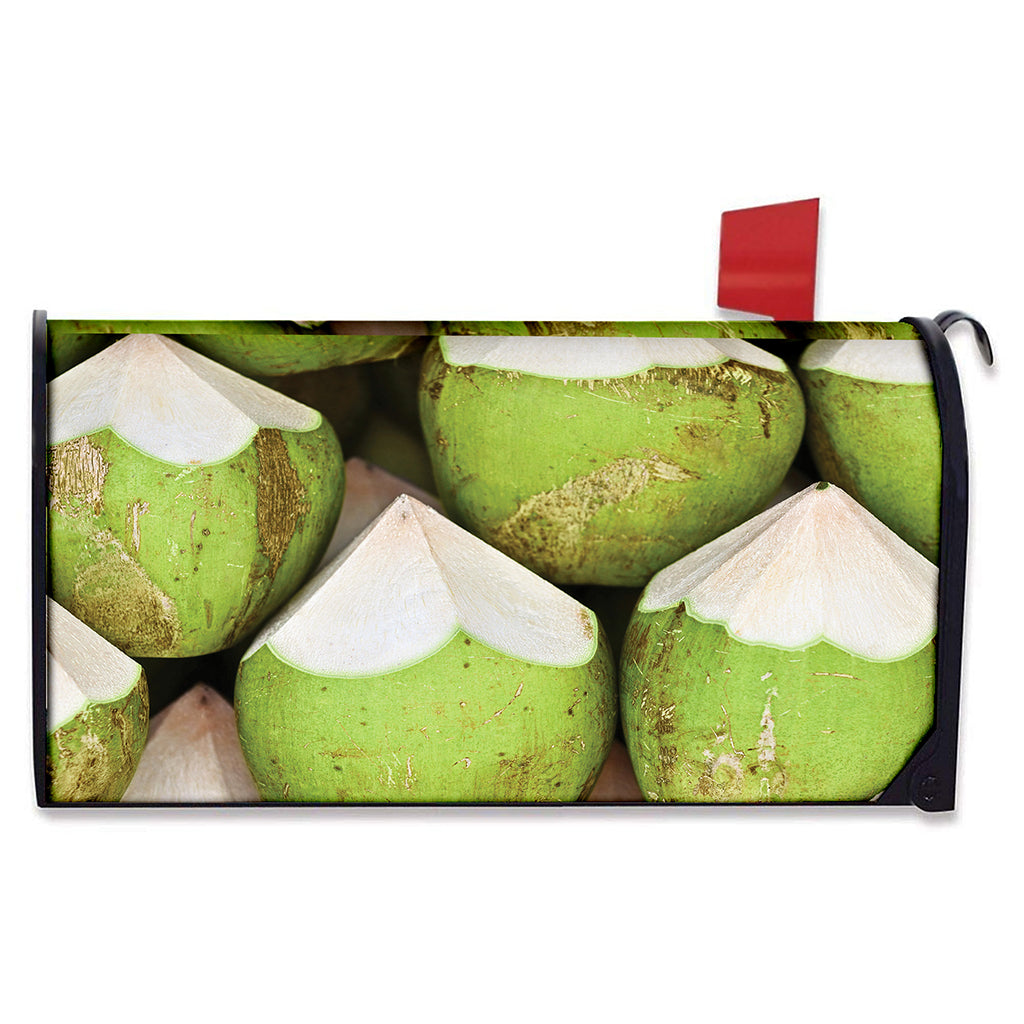 Coconut 3D Print Mailbox Cover