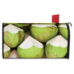 Coconut 3D Print Mailbox Cover