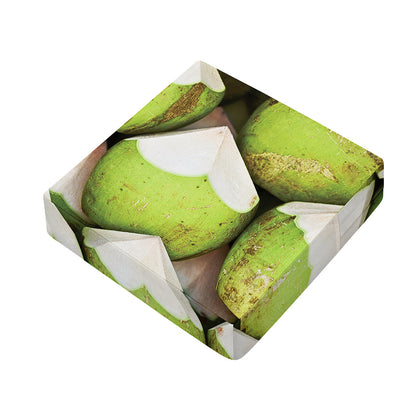 Coconut 3D Print Outdoor Seat Cushion Cover