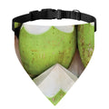 Coconut 3D Print Over The Collar Dog Bandana