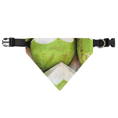 Coconut 3D Print Over The Collar Dog Bandana