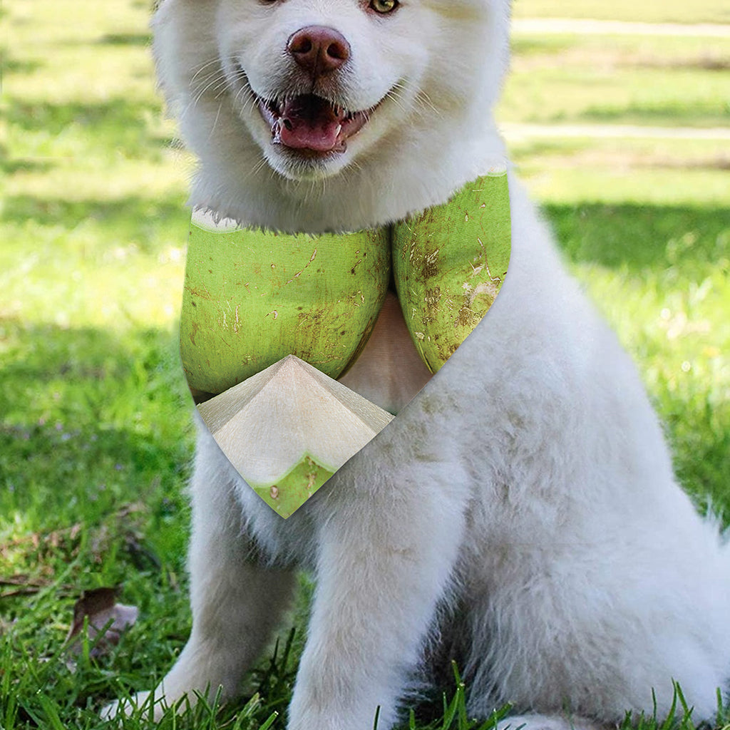 Coconut 3D Print Over The Collar Dog Bandana