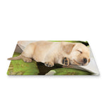 Coconut 3D Print Pet Cooling Mat Cover
