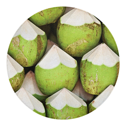 Coconut 3D Print Round Blanket