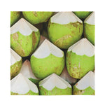 Coconut 3D Print Silk Bandana