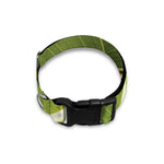 Coconut Leaf Print Dog Collar