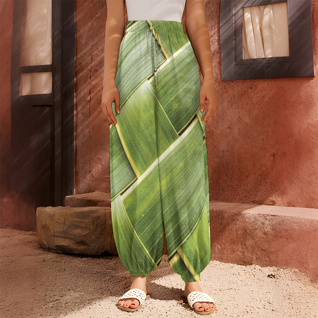 Coconut Leaf Print Harem Pants