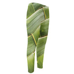 Coconut Leaf Print Men's Compression Pants