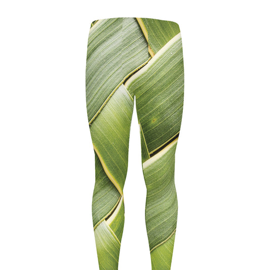 Coconut Leaf Print Men's leggings