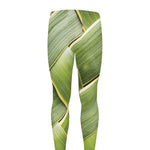 Coconut Leaf Print Men's leggings