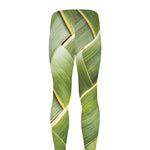 Coconut Leaf Print Men's leggings
